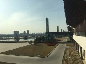 身處連高鐵都沒(méi)通的小縣城，這家公司為何還能做到國(guó)際一流中醫(yī)