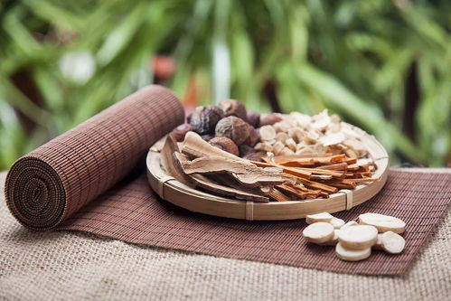 瓷律品牌上市發(fā)布會(huì) 中醫(yī)智慧點(diǎn)亮藥妝新篇章